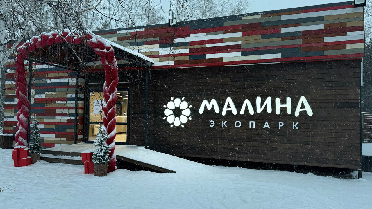 Загородный проект среди соснового леса