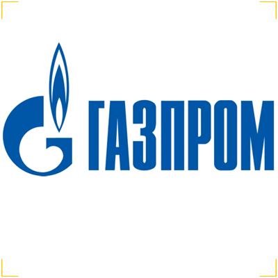 Газпром — клиенты группы охранных предприятий Медведь