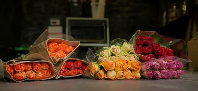 Как купить оптом розы от плантации Desire Flora с доставкой в Россию
