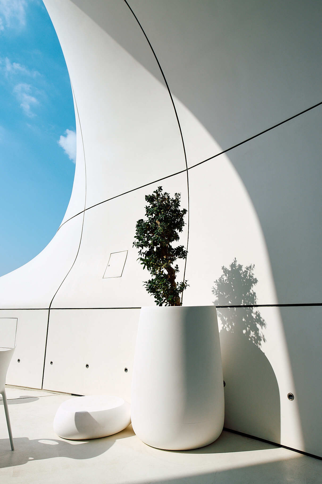 teamLab Phenomena Abu Dhabi, фото Георгий Безбородов