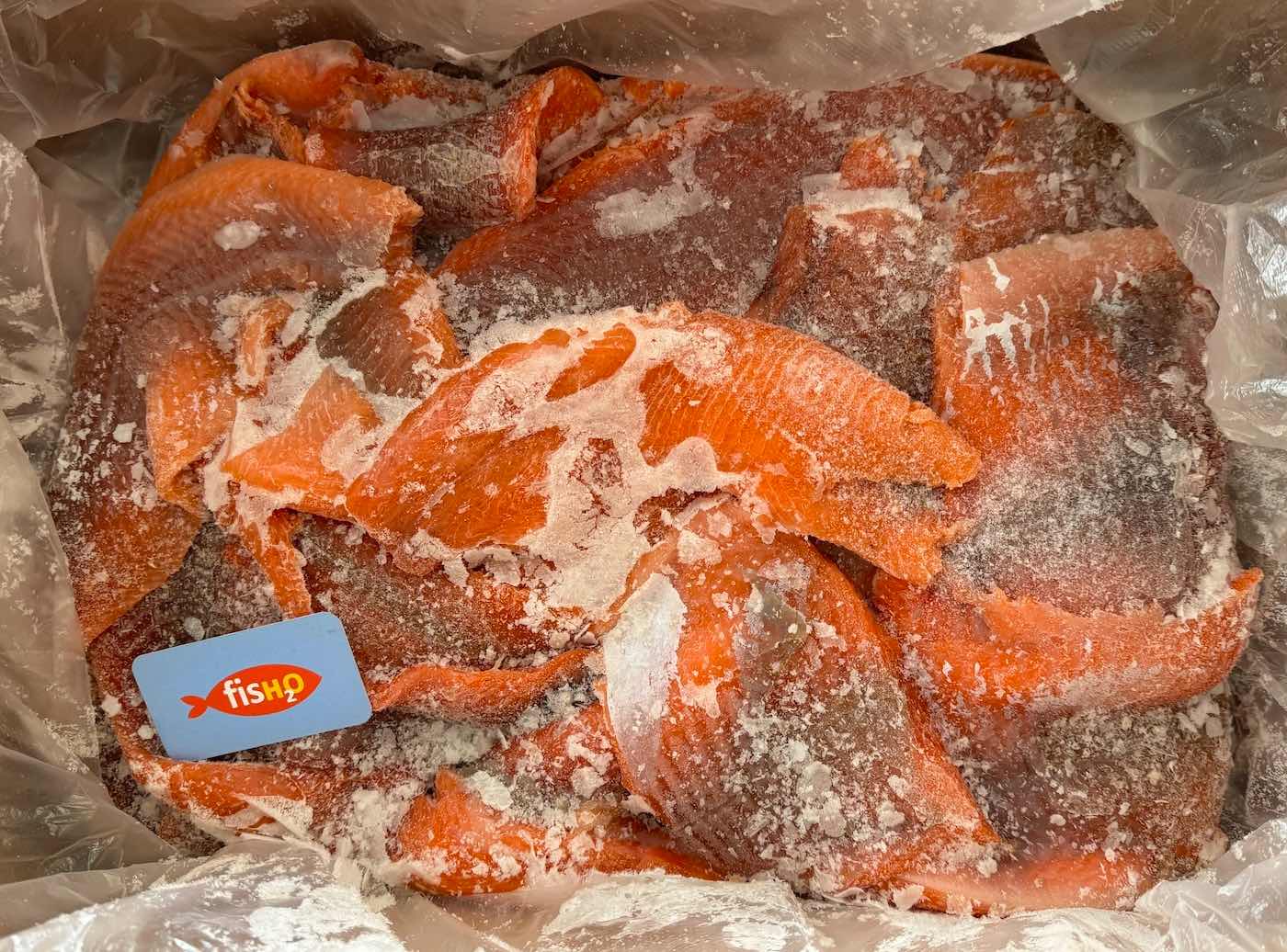 Филе-кусочки форели морской без кожи без кости в блоках