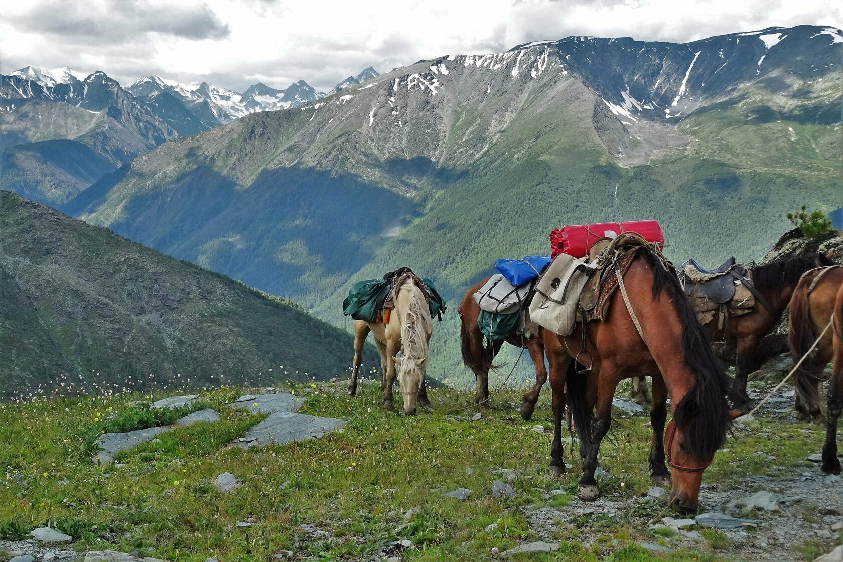 Белуха, горный Алтай, конный поход