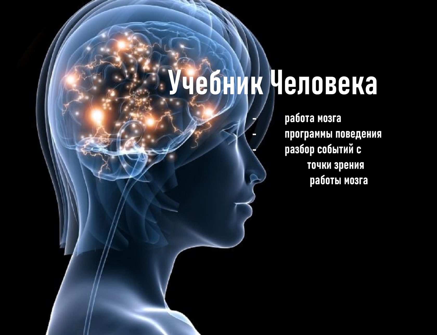 Мозг психика и поведение человека. Работа мозга. Мозг психология. Формирование собственной реальности.