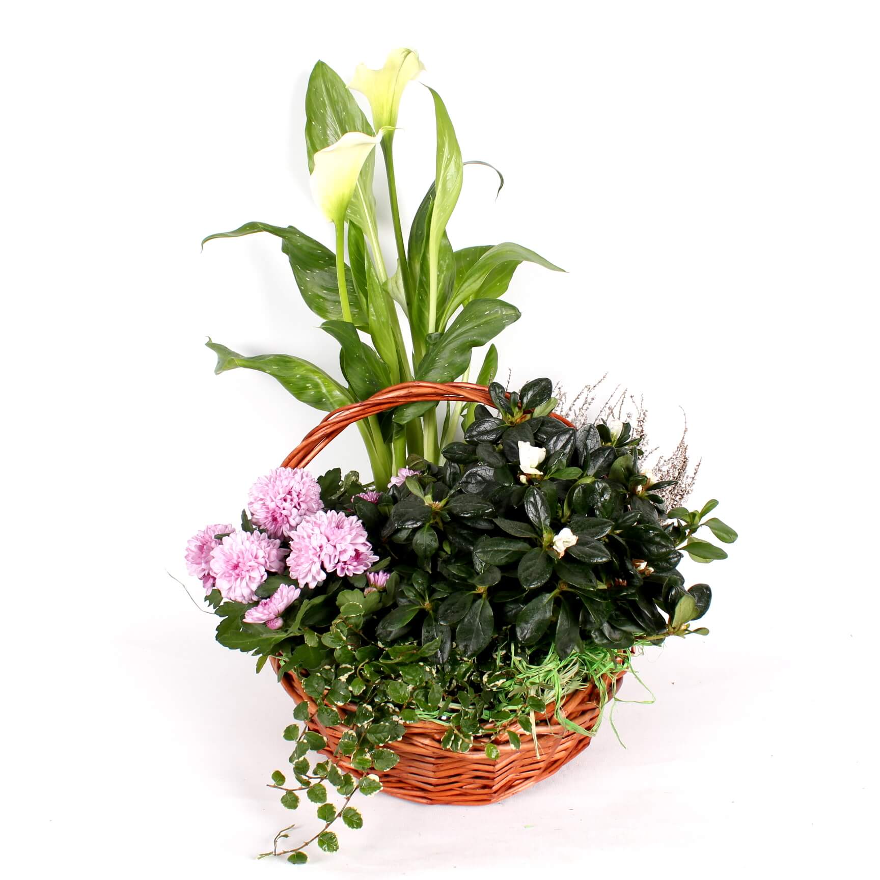 Доставка | заказ цветов по СПб круглосуточно