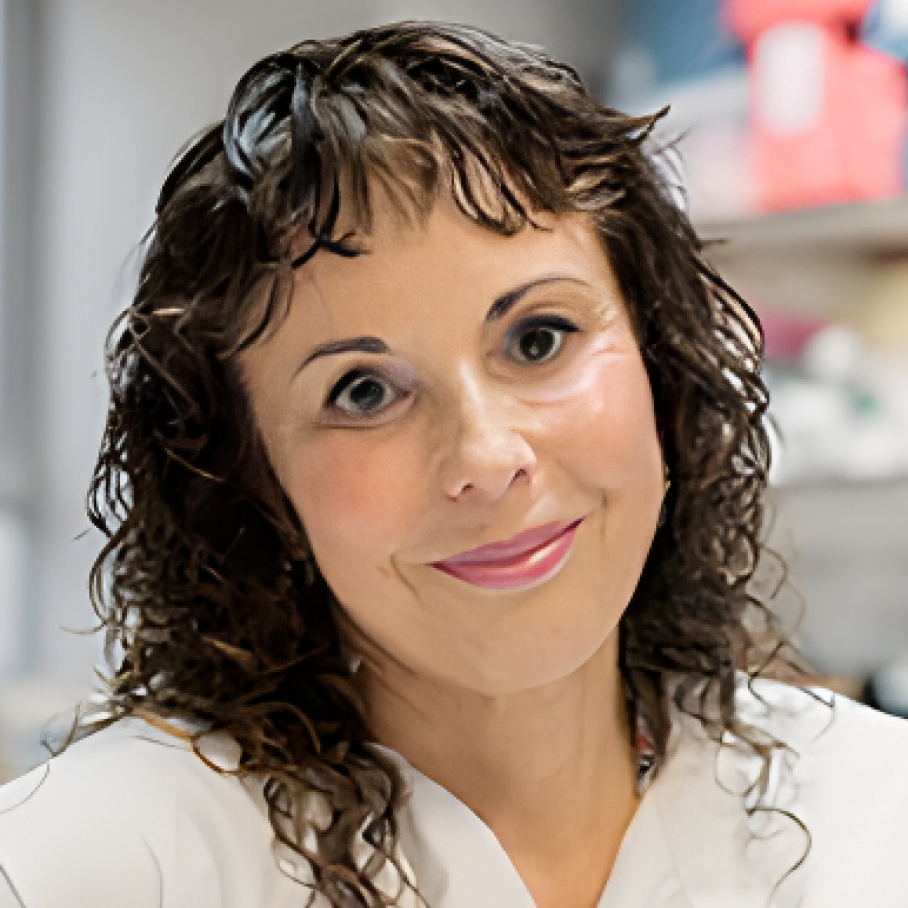 Сара Табризи