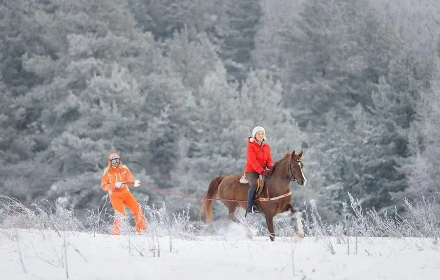 Всадники на фоне зимнего леса