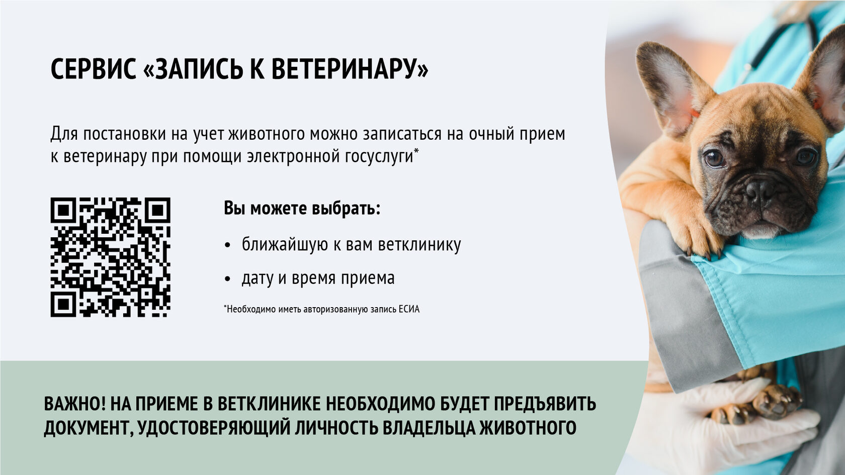 Модельный закон об обращении с животными