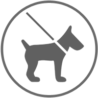 Dog friendly