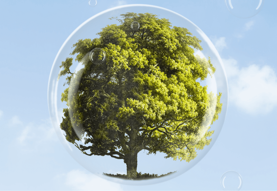 Биологическая роль кислорода