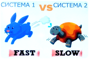 Elearning Elements, Елена Тихомирова, elc, Екатерина Онокой