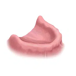 имплантация зубов, имплантация зубов Голицыно, стоматология в Голицыно, имплантация зубов цена, имплантация зубов под ключ, имплантация зубов под ключ цена, имплантация зубов МСК, имплантация Москва, зубной имплант Голицыно, установка импланта, зубное протезирование.