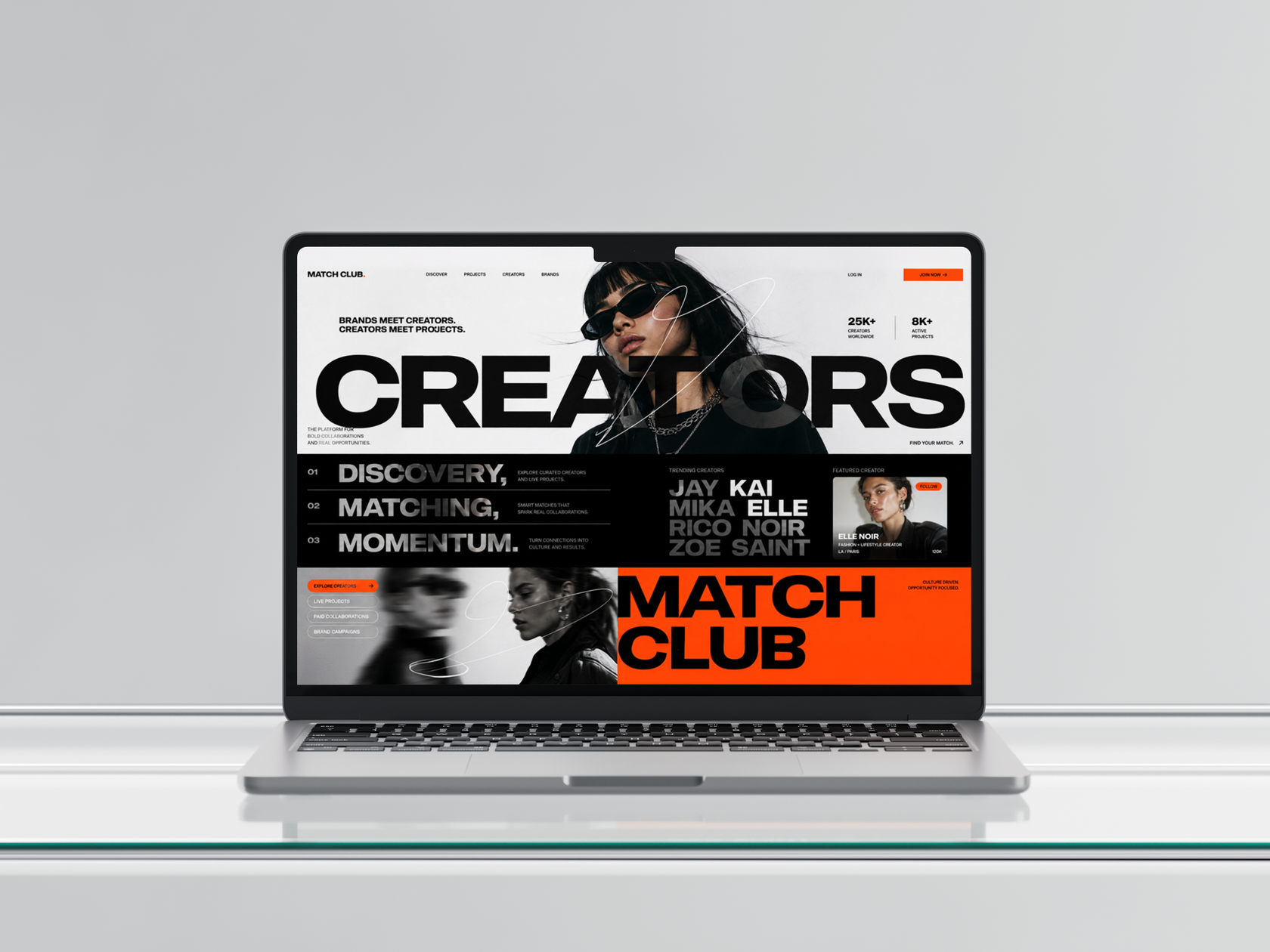 WEBSITES / project 04