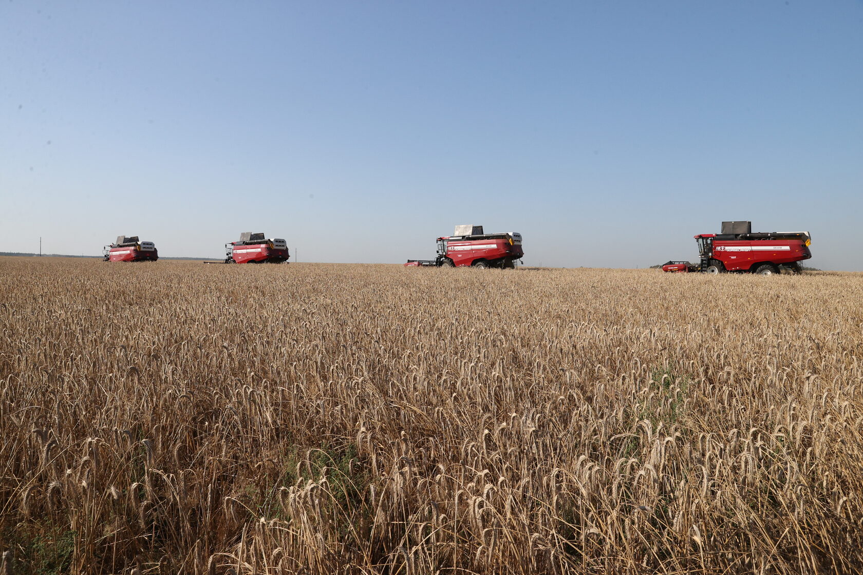 Уборка зерна. Сводка по уборке зерновых. Техника для уборки урожая. Сводка по уборке зерновых. Когда начинается уборочная зерновых.