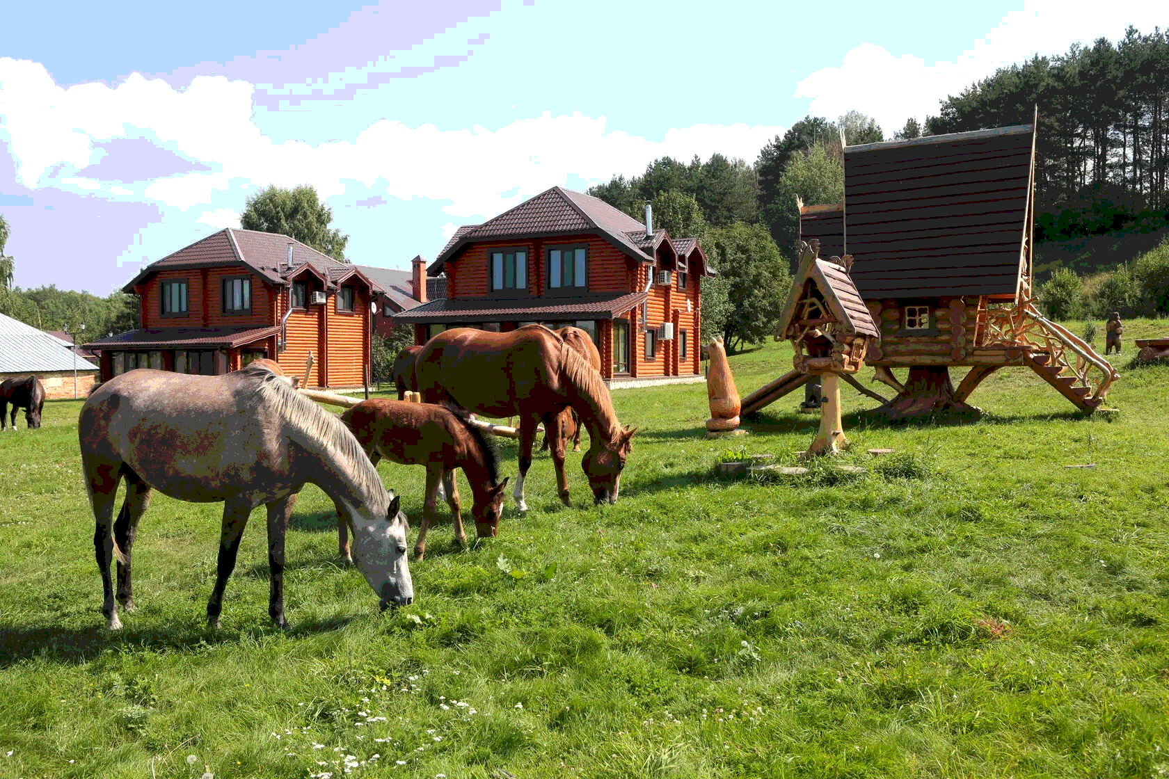 загородный клуб свияга