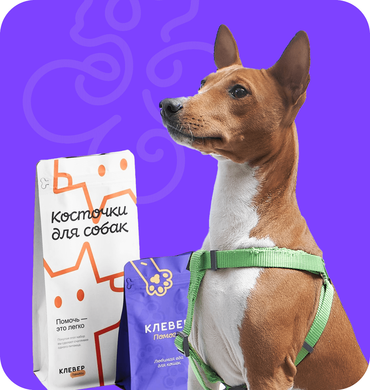 Ветеринарная клиника «Клевер»