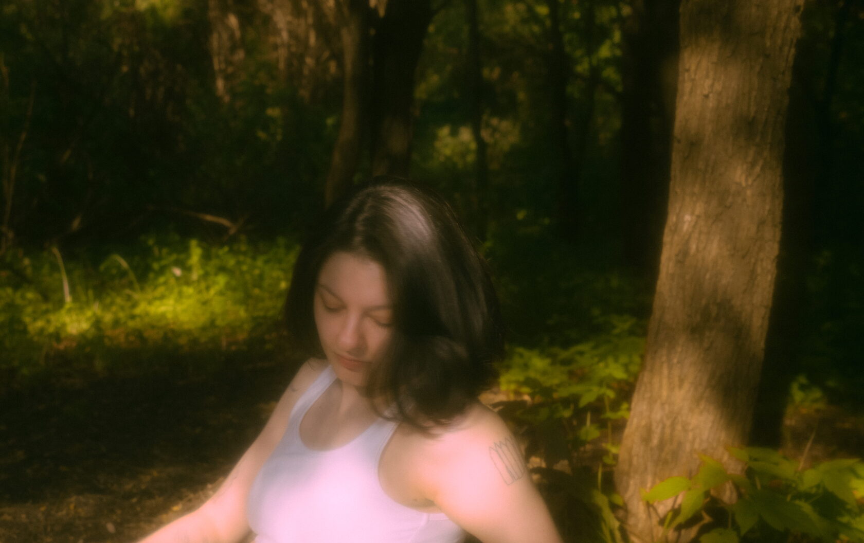 Sunlit forest meadow and golden light