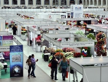 Проведение выставки цветов