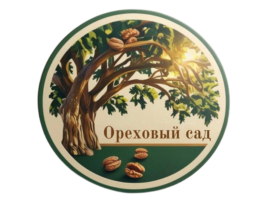 Сухофрукты отборные купить с доставкой по Москве и области