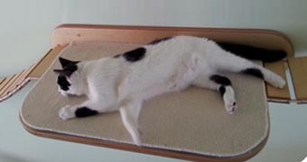 дизайнерские когтеточки для кошек