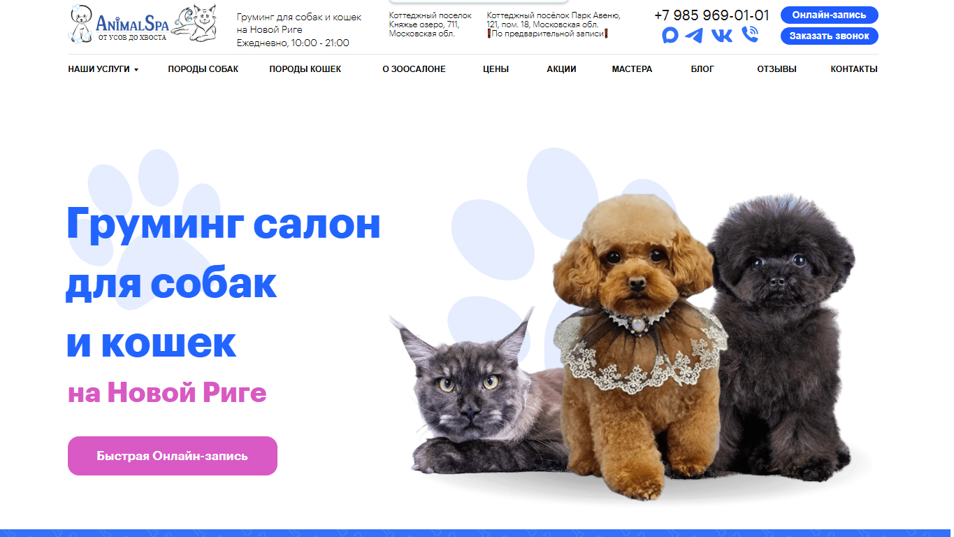 первый экран продвигаемого сайта