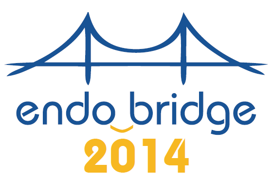 лого endo bidge2014