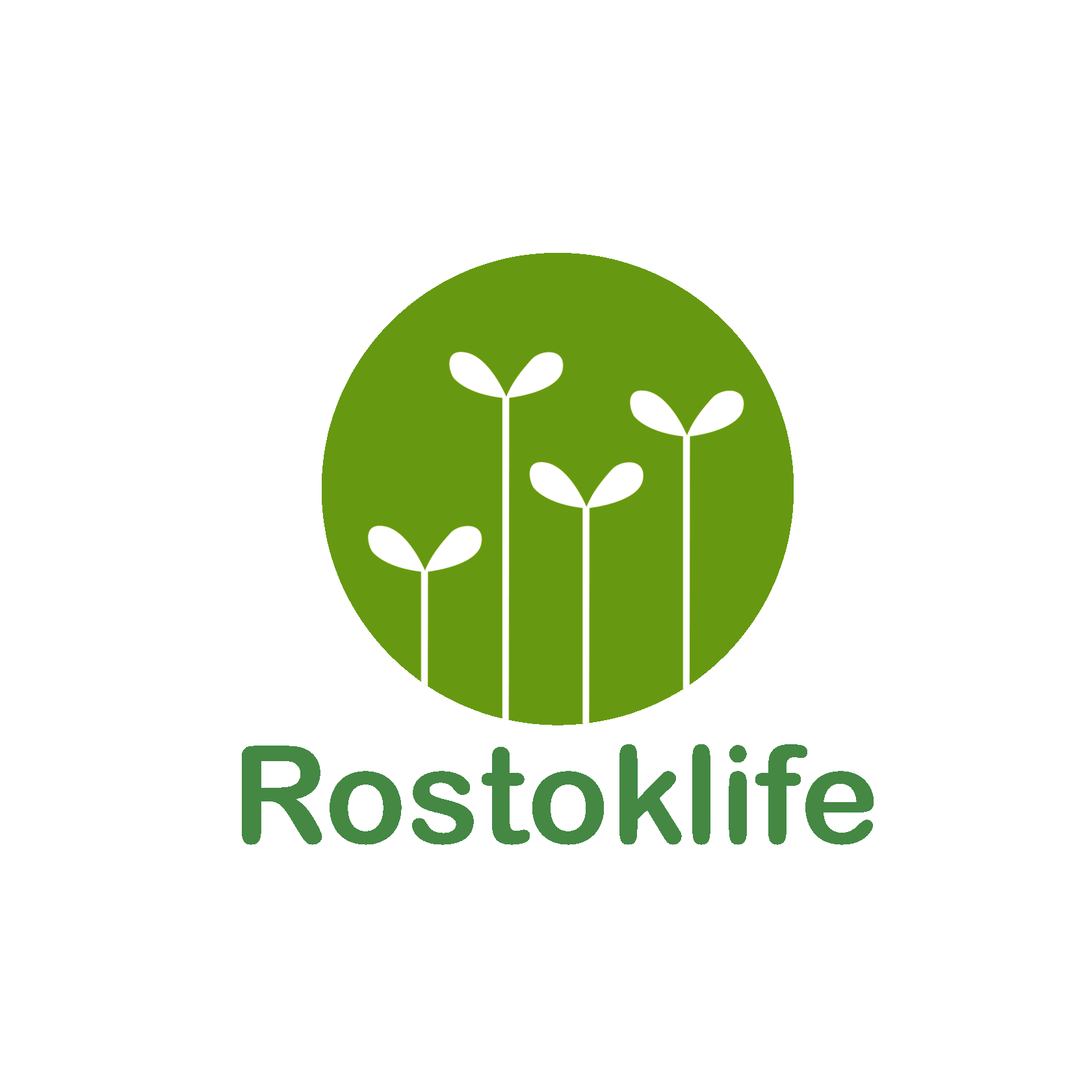 ИНТЕРНЕТ МАГАЗИН ROSTOK LIFE