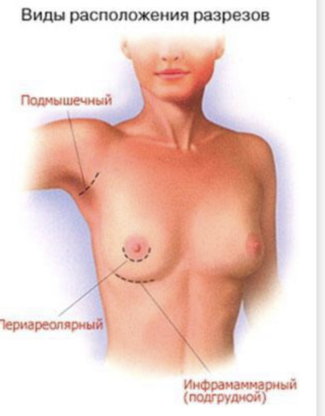 что отвечает за рост груди у женщин фото 117