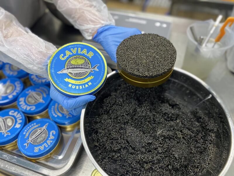 Caviar каспийские деликатесы