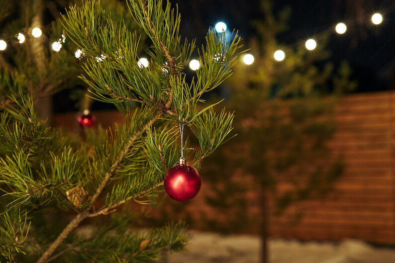рождественский отдых в A-frame домике на уединенной территории на зимние праздники