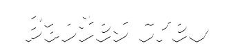 Логотип 2