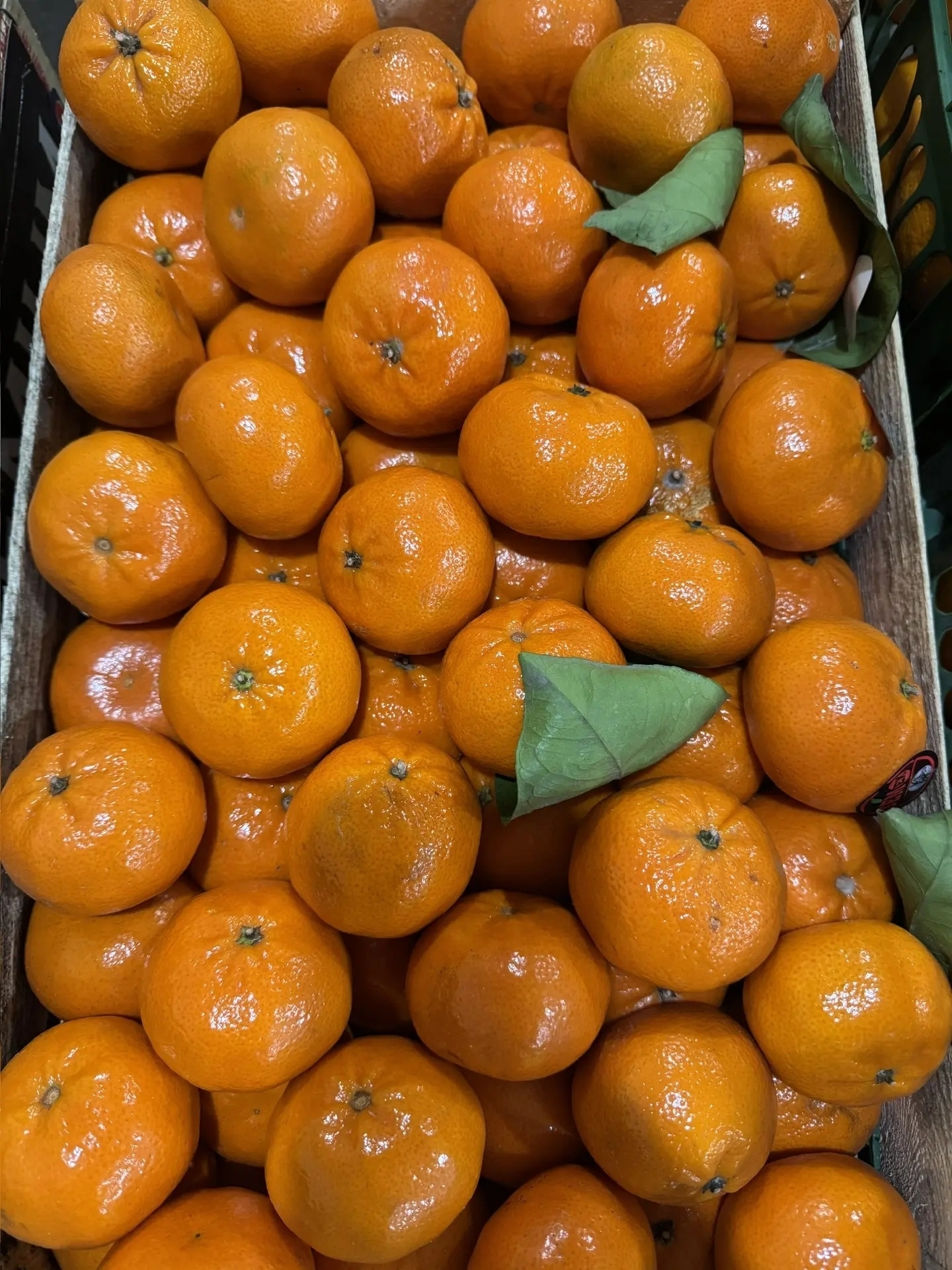 Купить мандарины из Турции