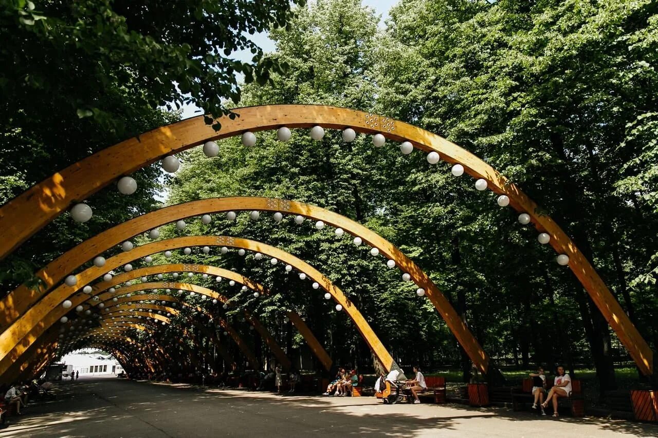 Picture background