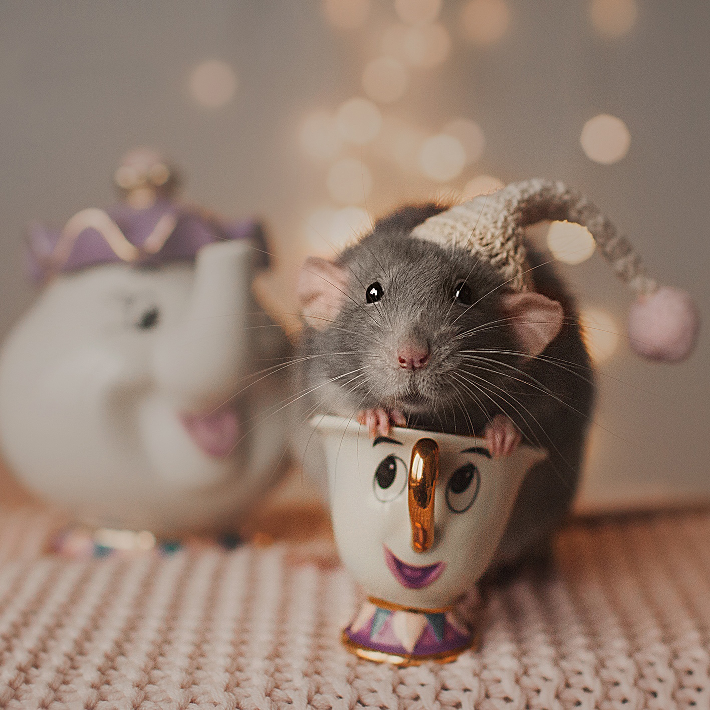 Мышь мило