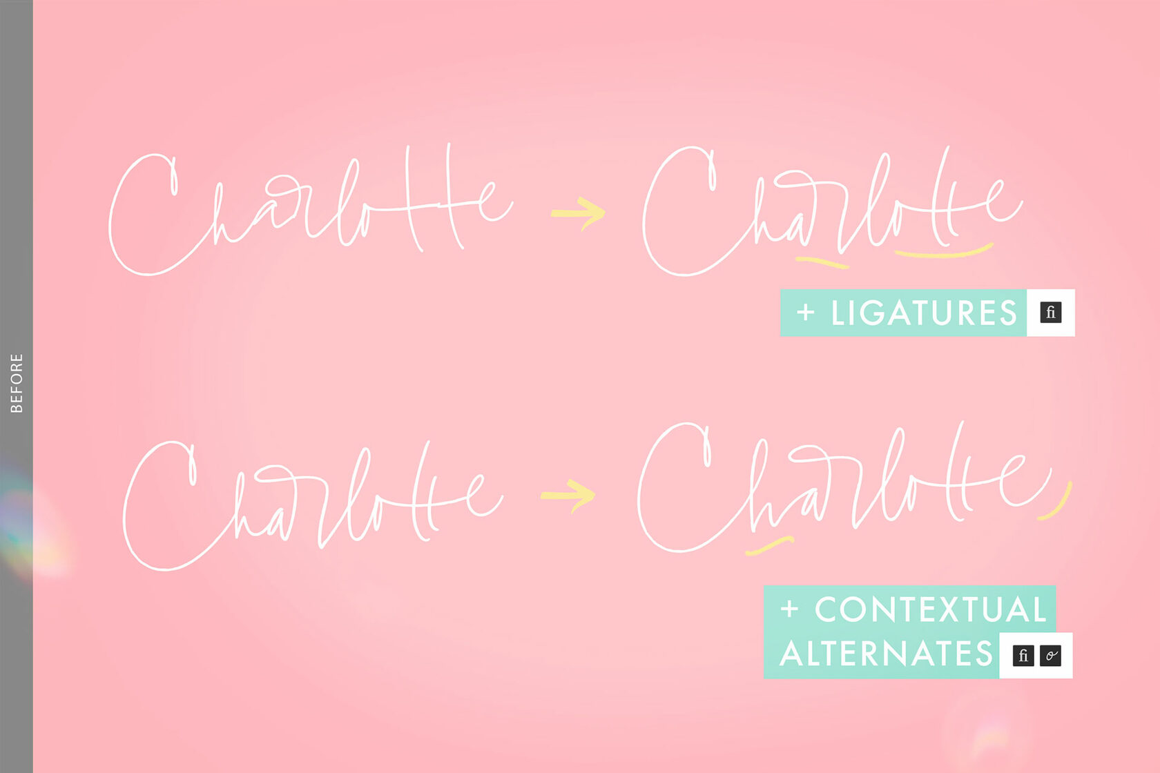 Charlotte Font| Script Fonts - Blessed Print