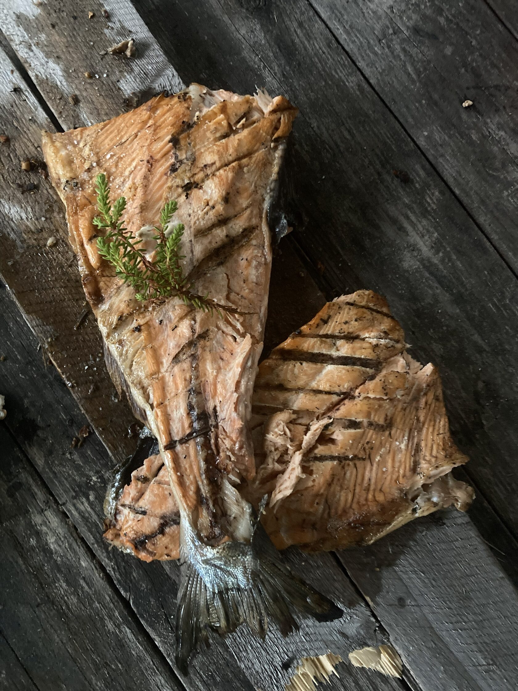 Горбуша на Белом море