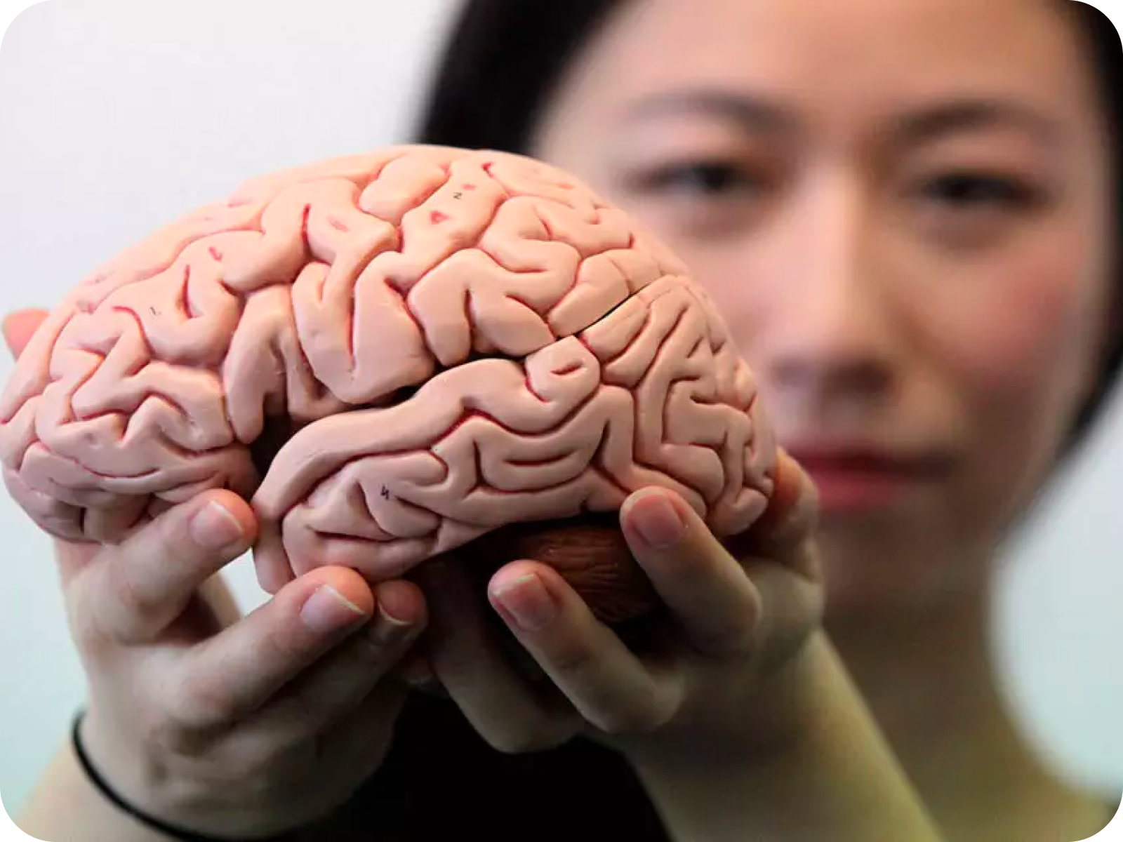 Мозг в очках картинка. Big brain фото. Makes her brain. Изображение мозга человека. Язык и мозг.