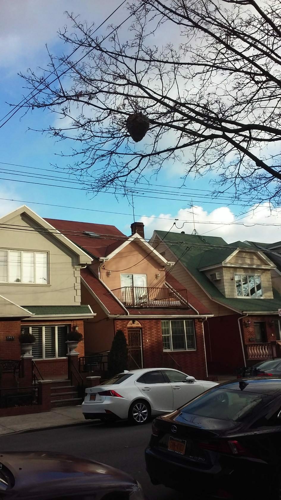 Книга Именем прилагательным