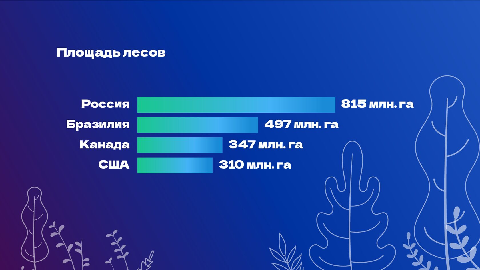 Эковолонтерство: добровольчество и окружающая среда