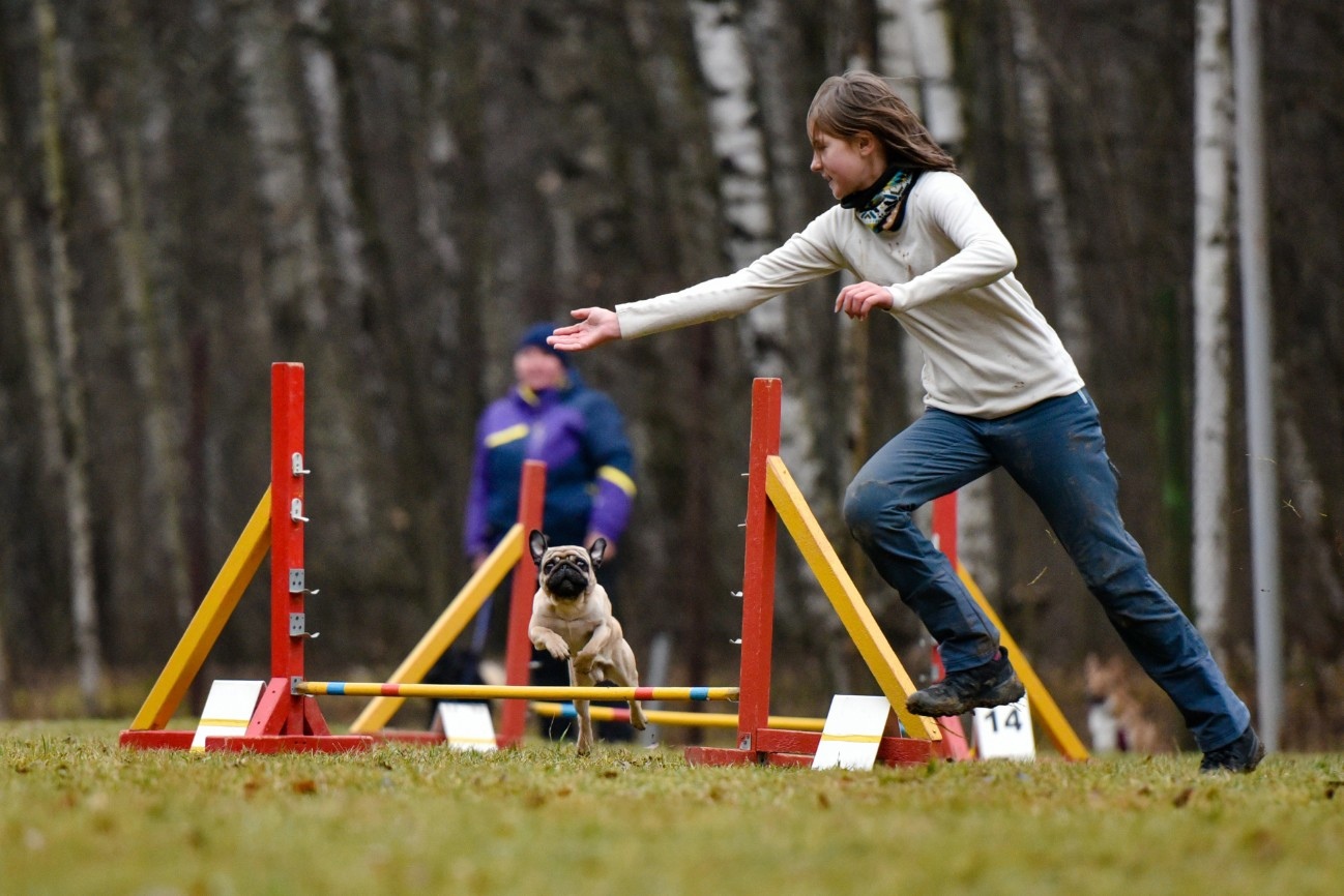 Тренерская лестница head Agility Ladder