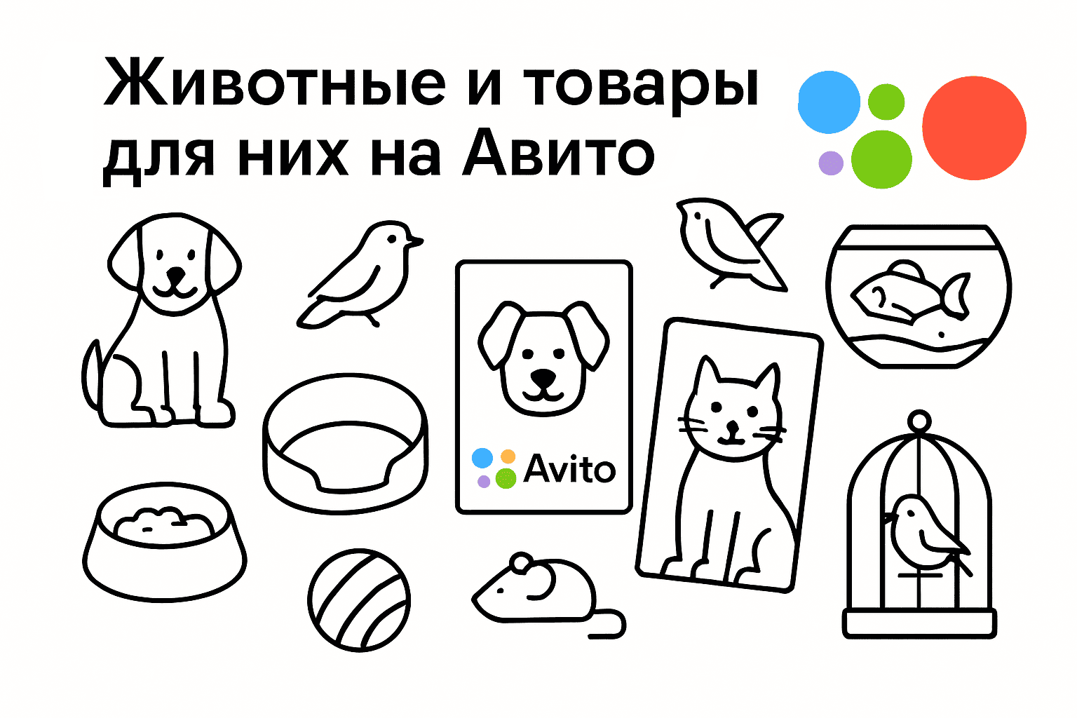Животные и товары для них на Авито