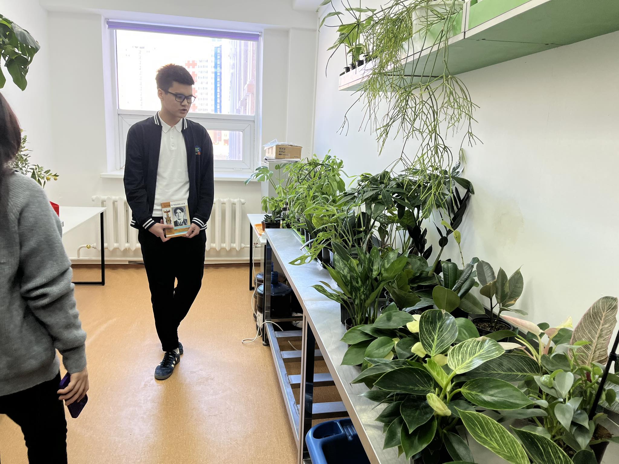 May be an image of ivy