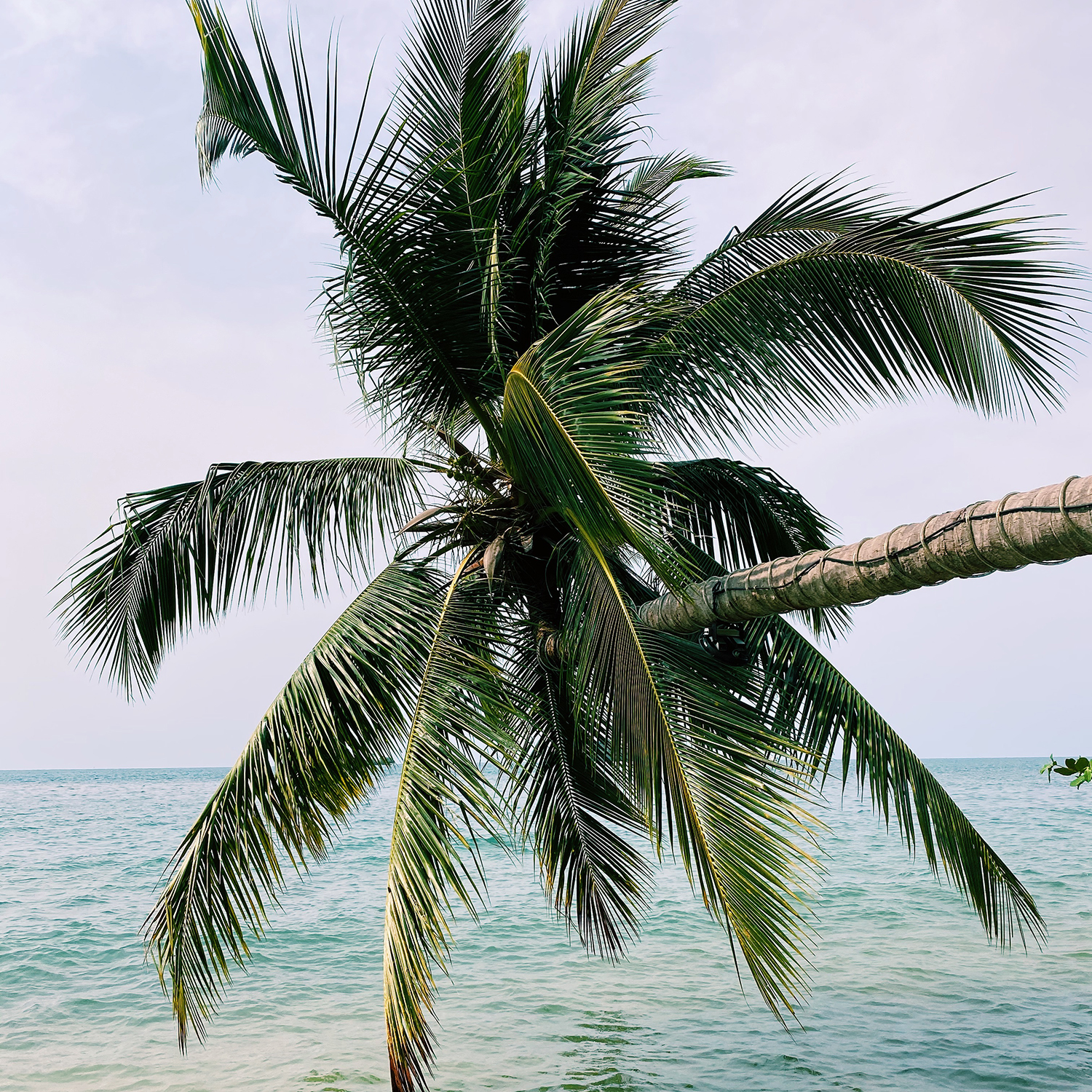 Экспедиция по островам Таиланда