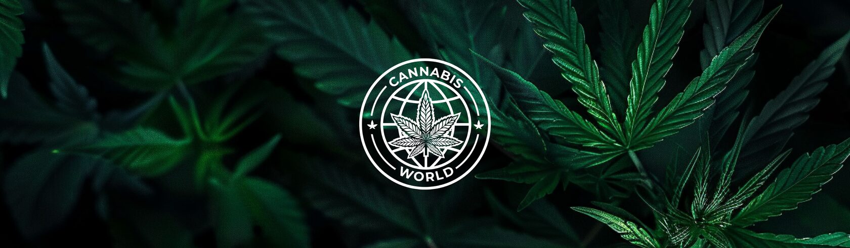 Ребрендинг Cannabis World: логотип, фирменный стиль, оформление соцсетей
