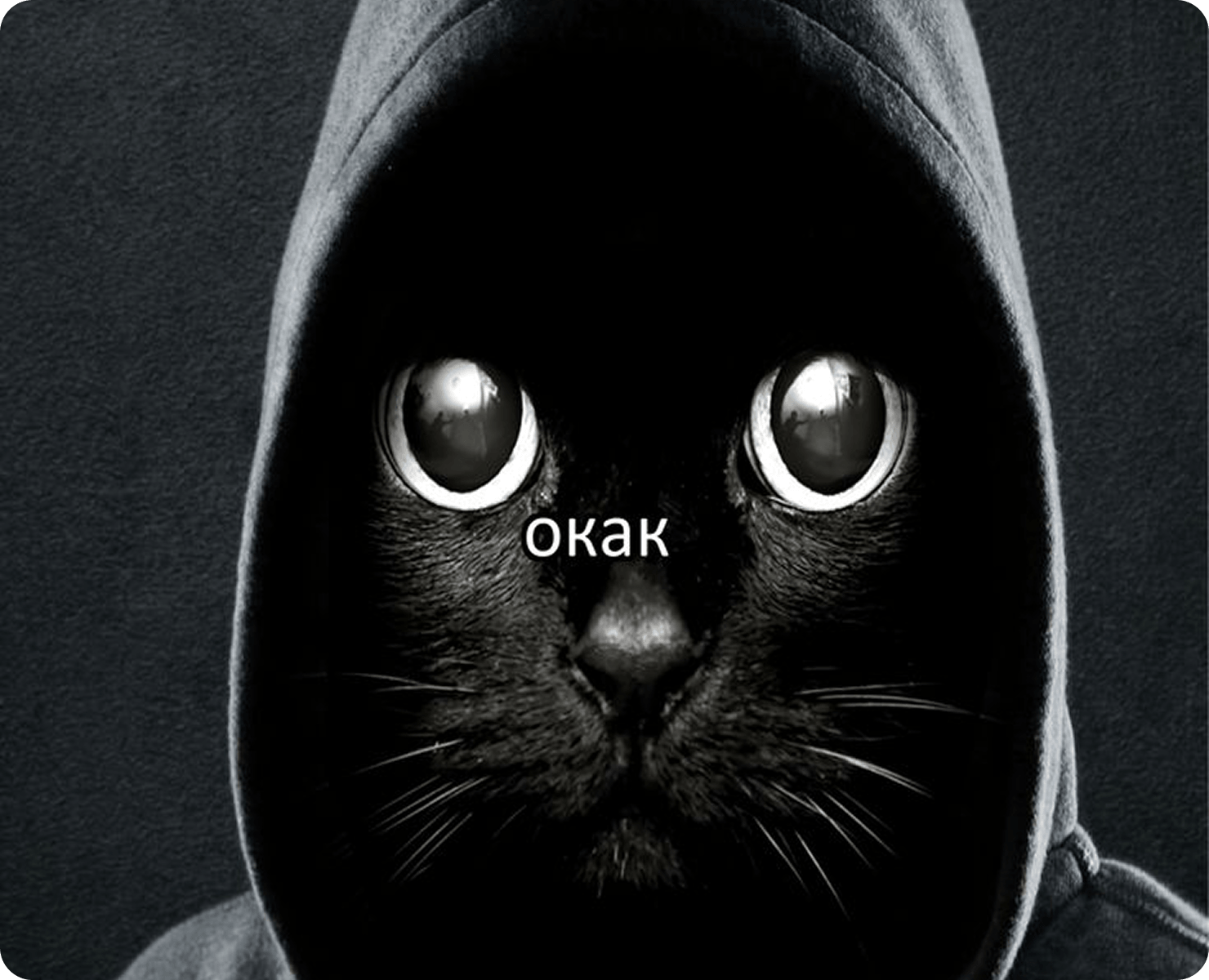 Ошибка
