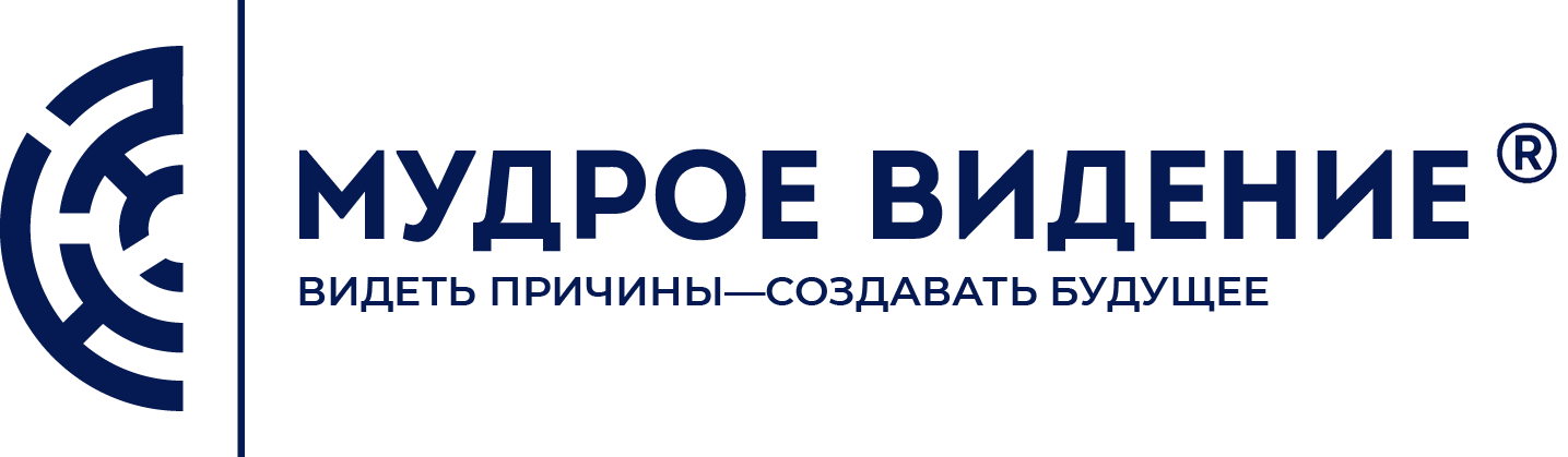Мудрое видение