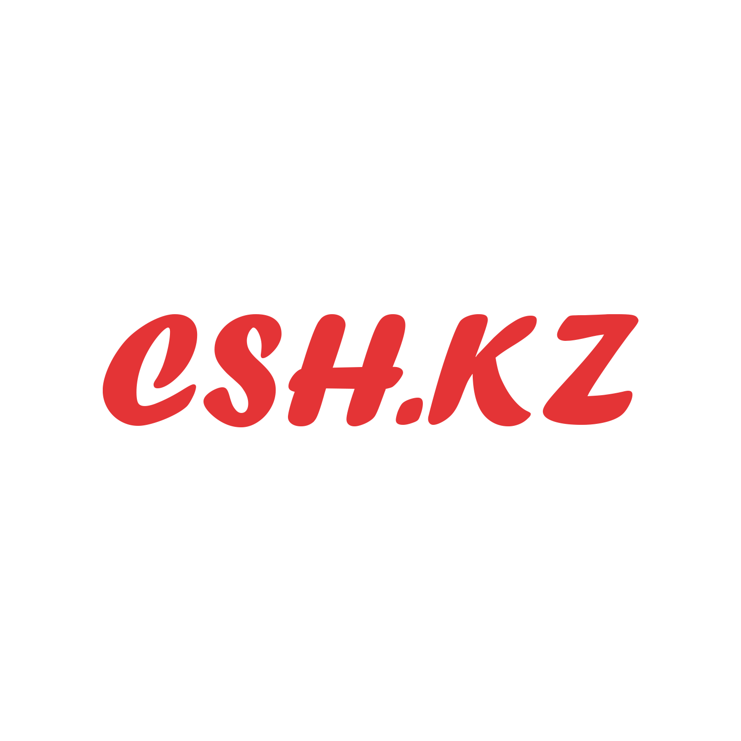 csh.kz