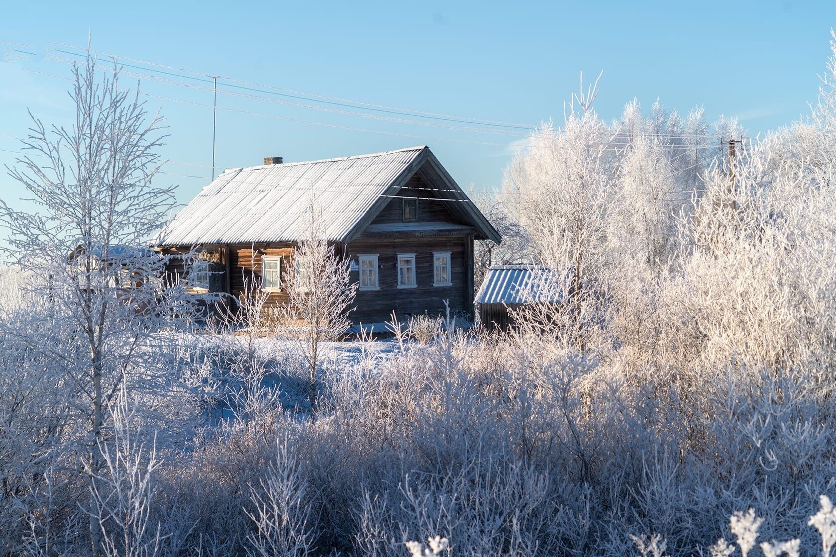 Вепсский лес НГ