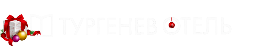  Отель «Тургенев» 