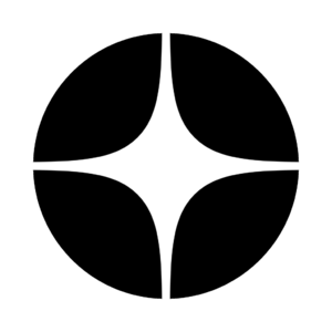 website icon