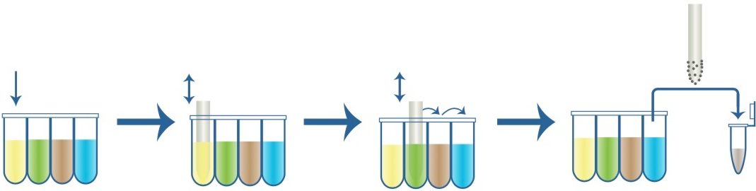 DNA Extraction principle